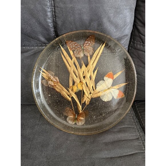 Vintage Lucite Decorative Plate With Dried Butterflies & Wheat Motif - Picture 1 of 3